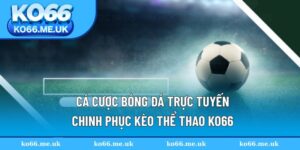 Cá Cược Bóng Đá Trực Tuyến
