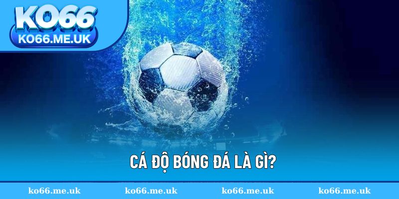 Cá độ bóng đá là gì?