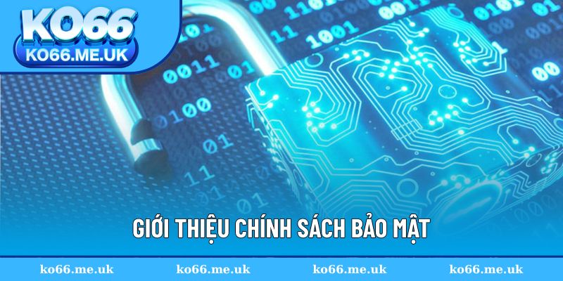 Giới thiệu chính sách bảo mật
