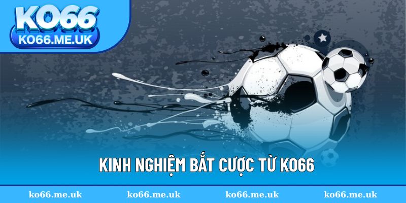 Kinh nghiệm bắt cược từ KO66