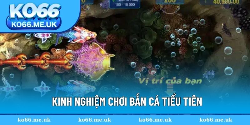 Kinh nghiệm chơi bắn cá Tiểu Tiên chắc chắn chiến thắng Kinh nghiệm chơi bắn cá Tiểu Tiên chắc chắn chiến thắng